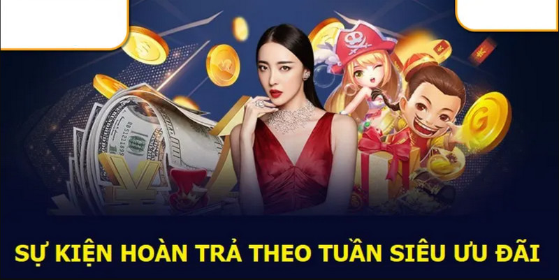 Ưu đãi mỗi tuần hoàn trả không giới hạn cho hội viên